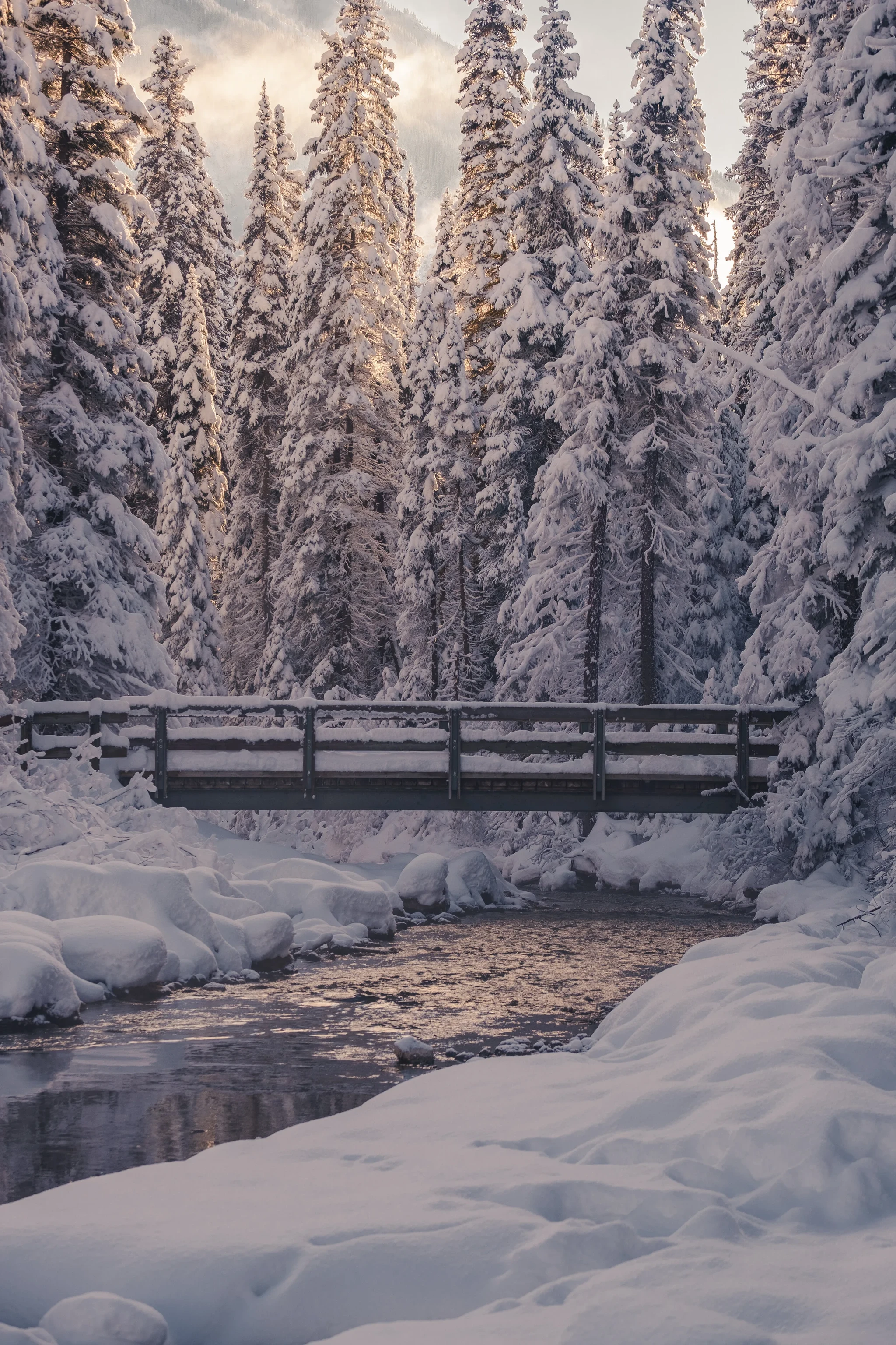 Landscapes