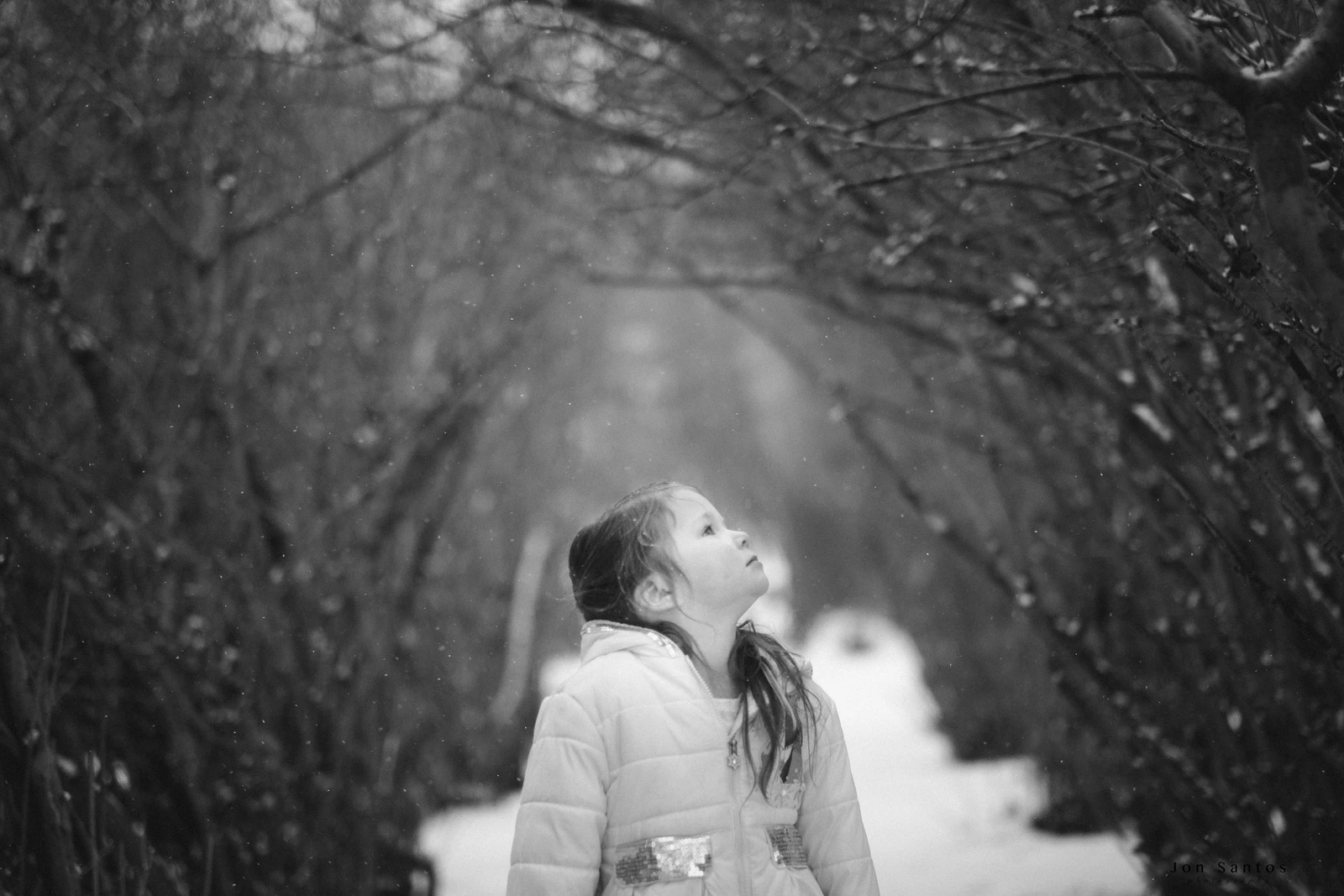 untitled image