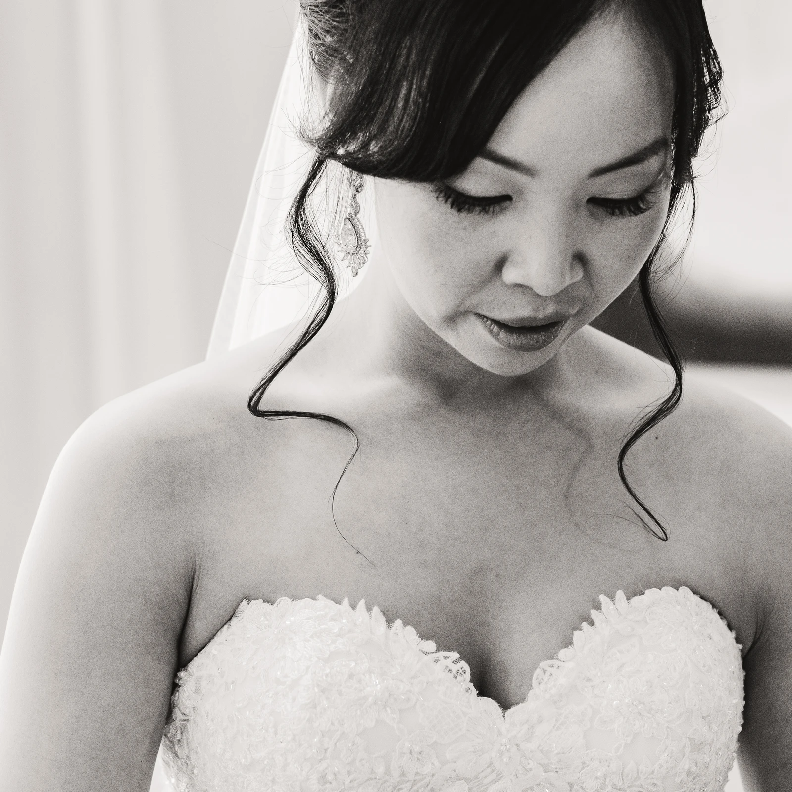 untitled image