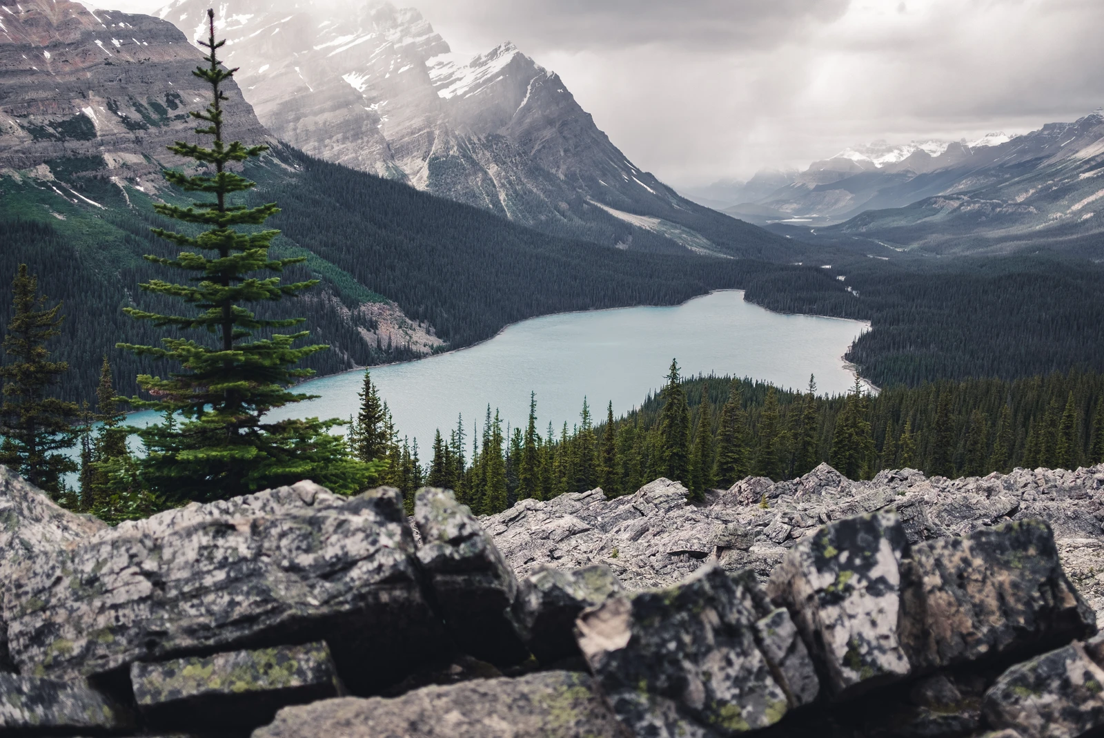 untitled image