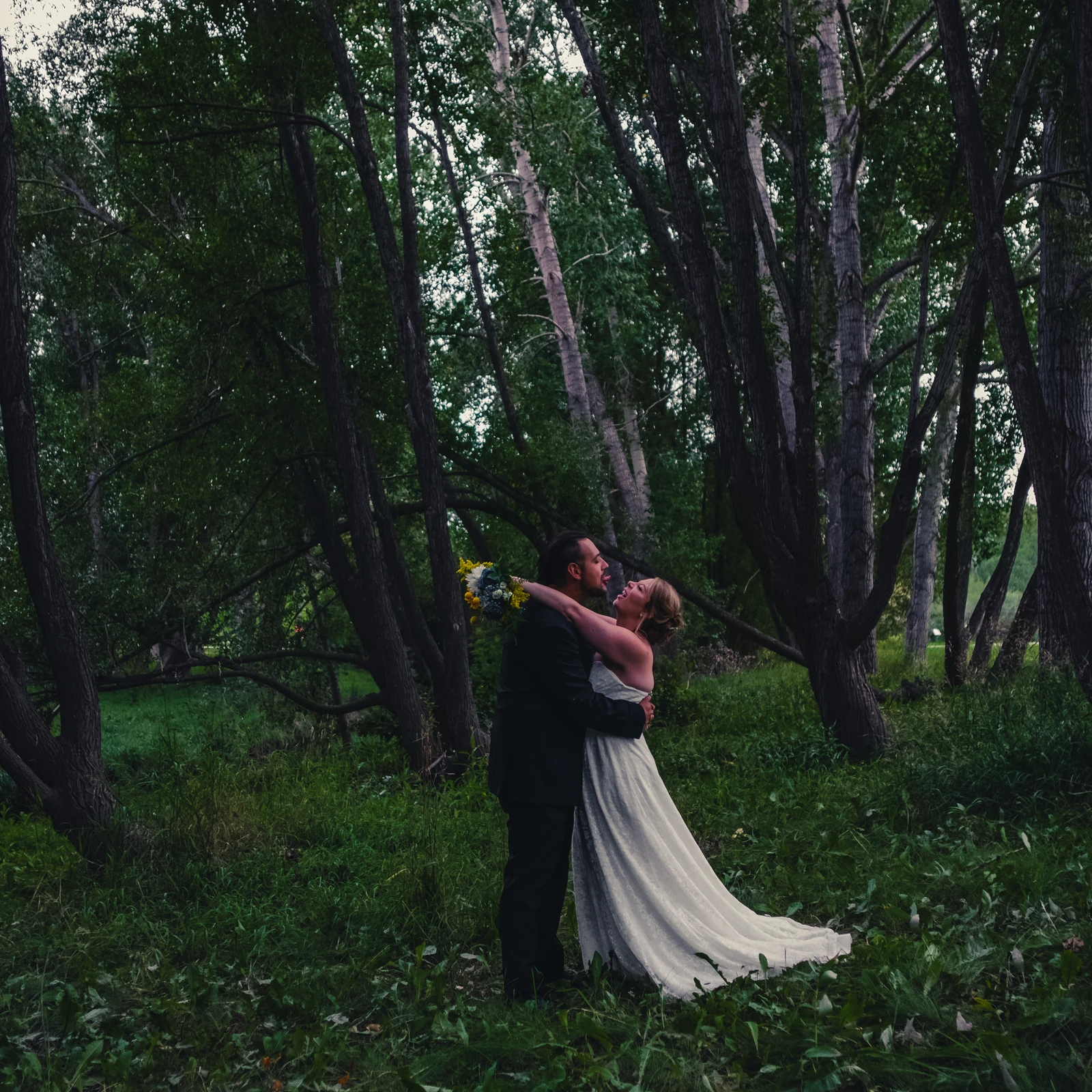 untitled image