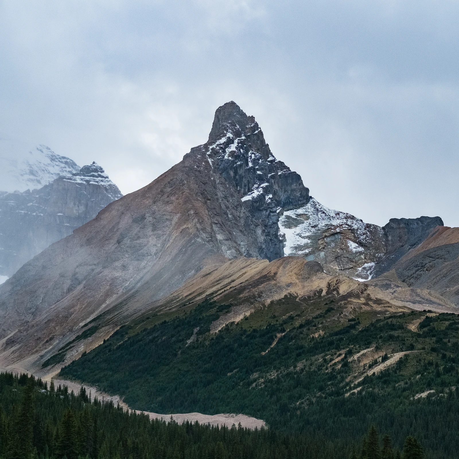 untitled image
