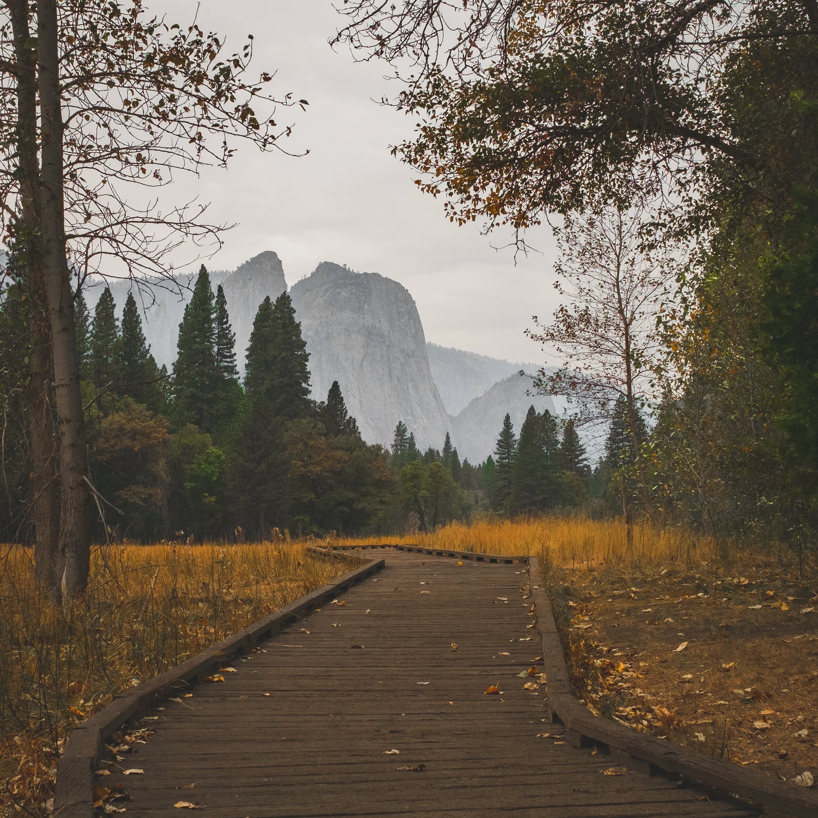 untitled image