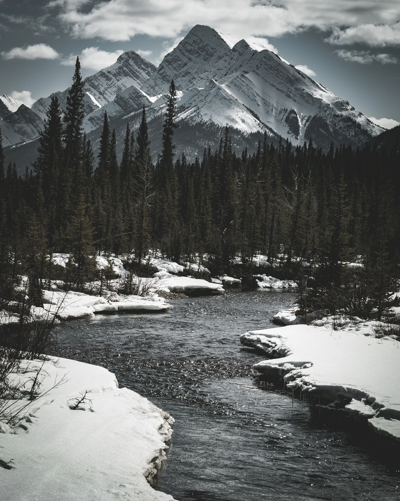 untitled image