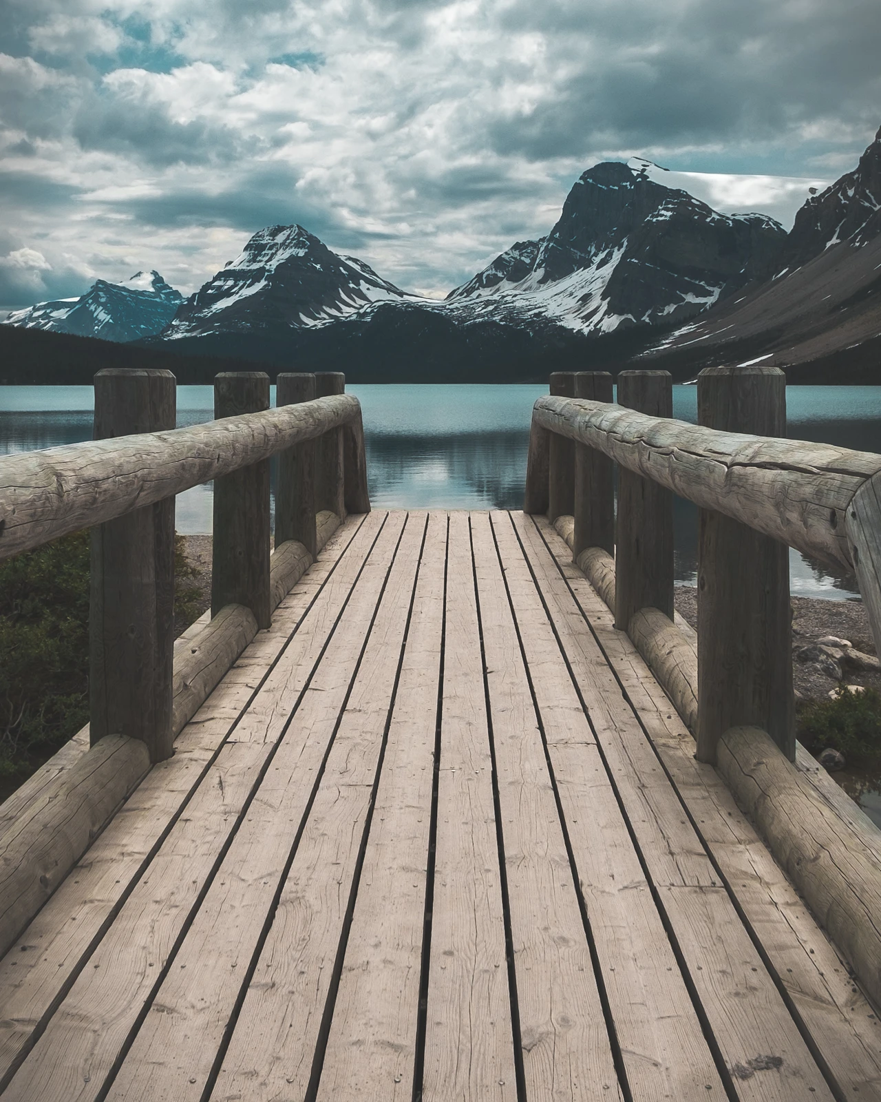 untitled image