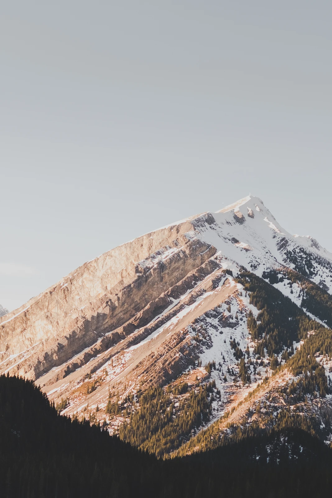 untitled image