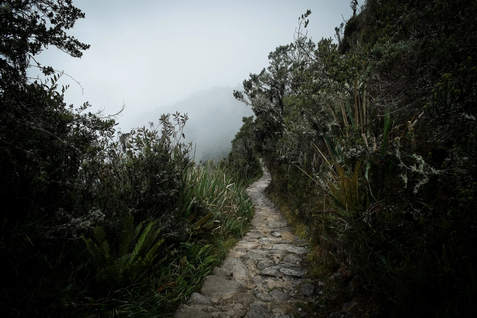 untitled image