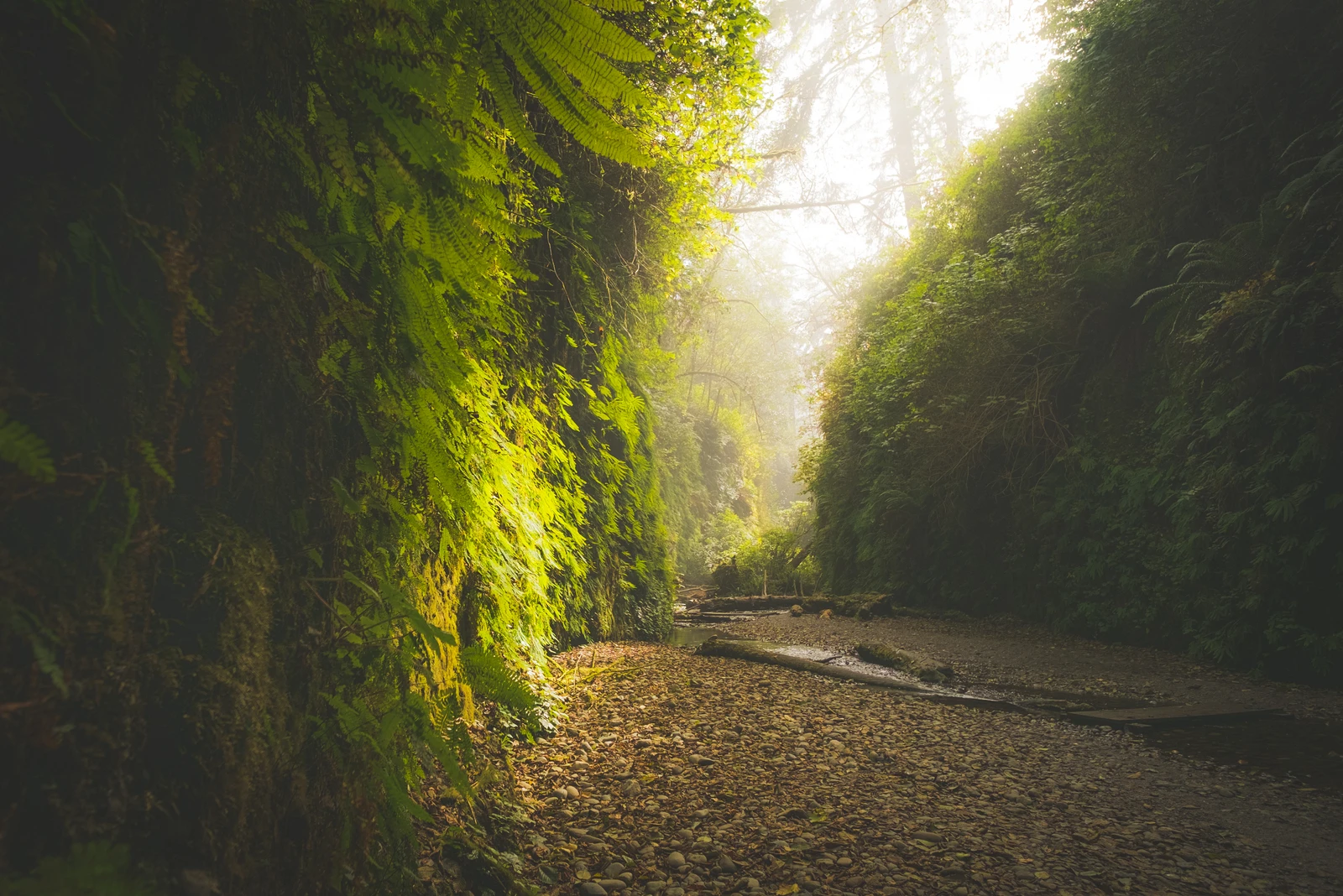 untitled image
