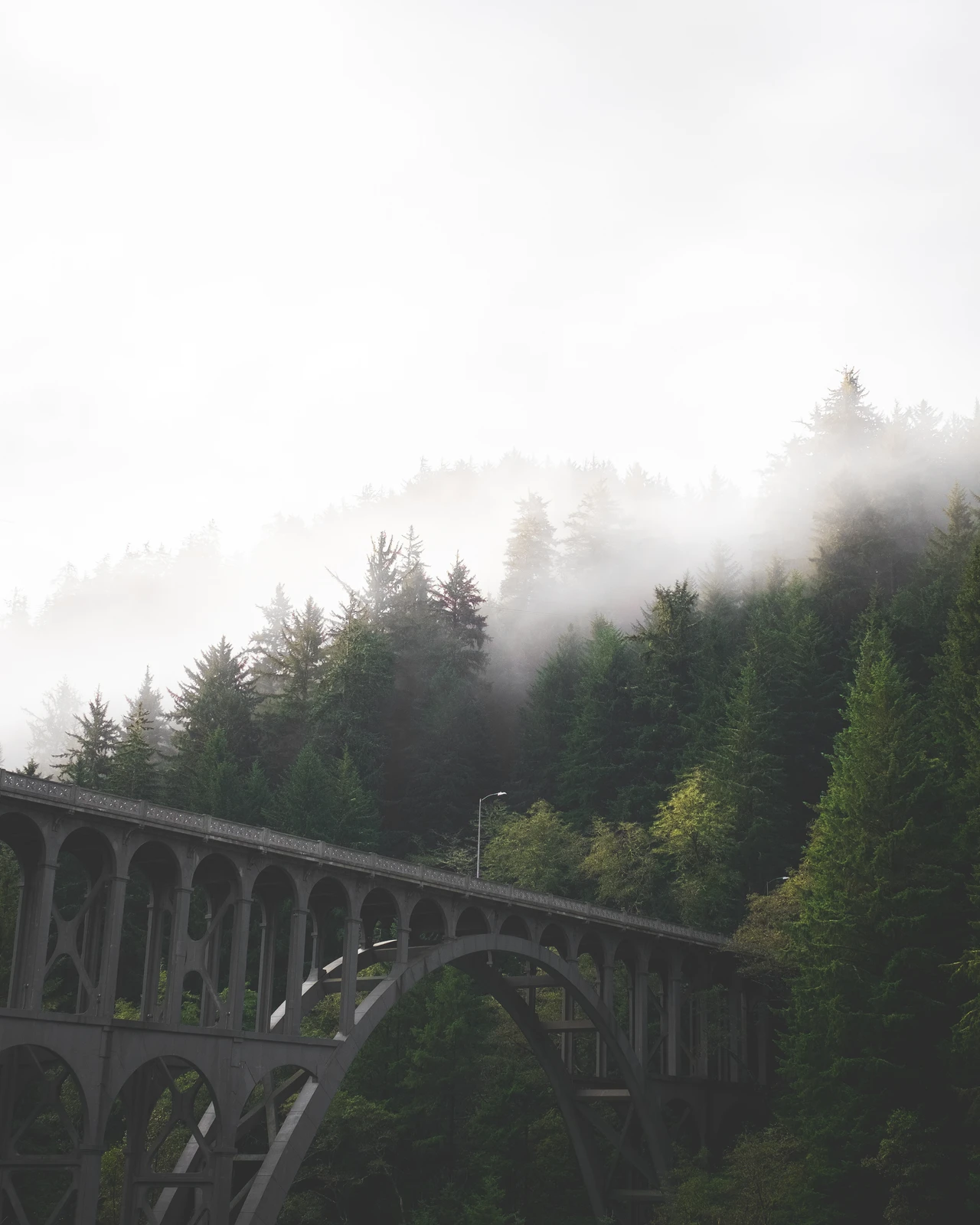 untitled image