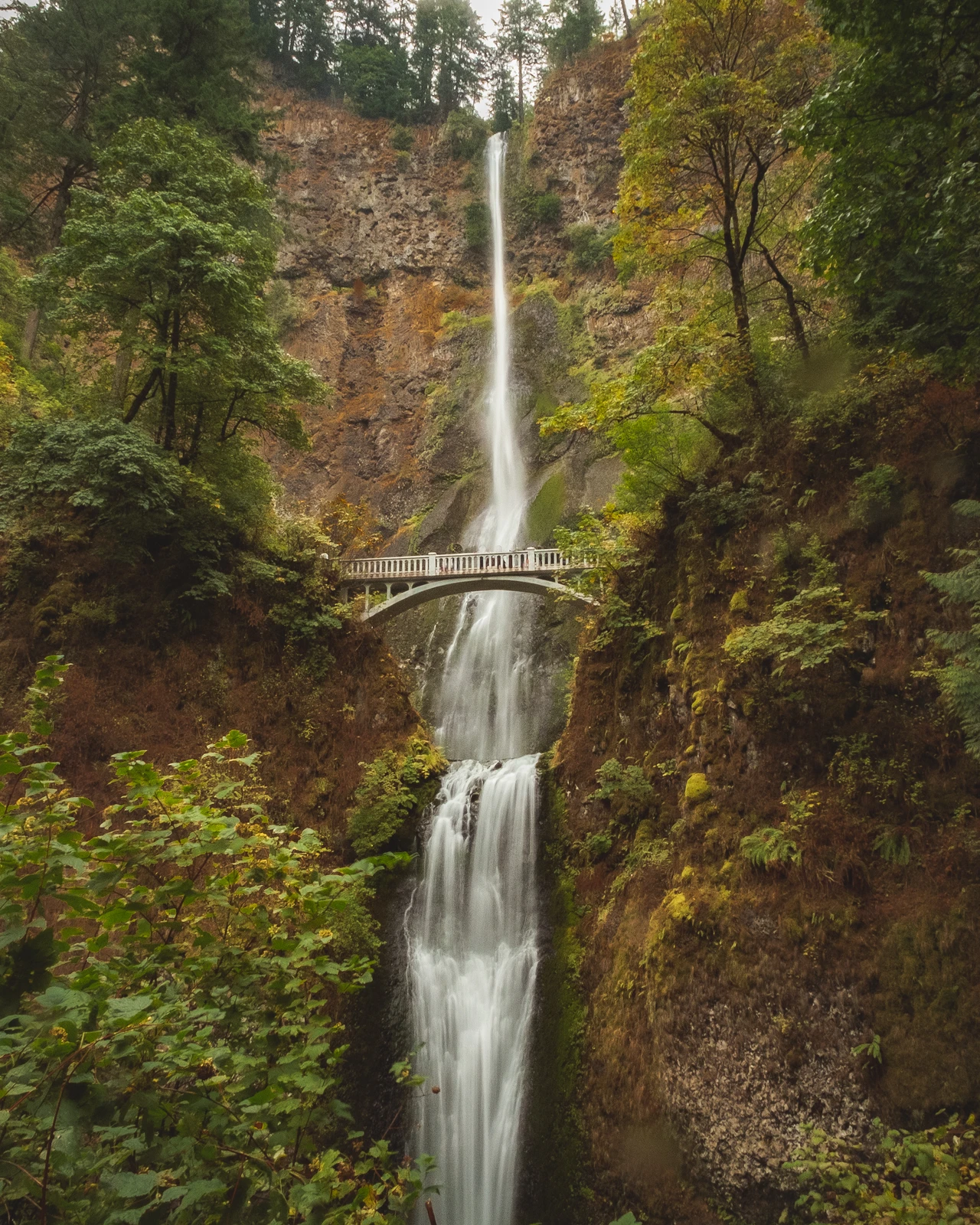 untitled image