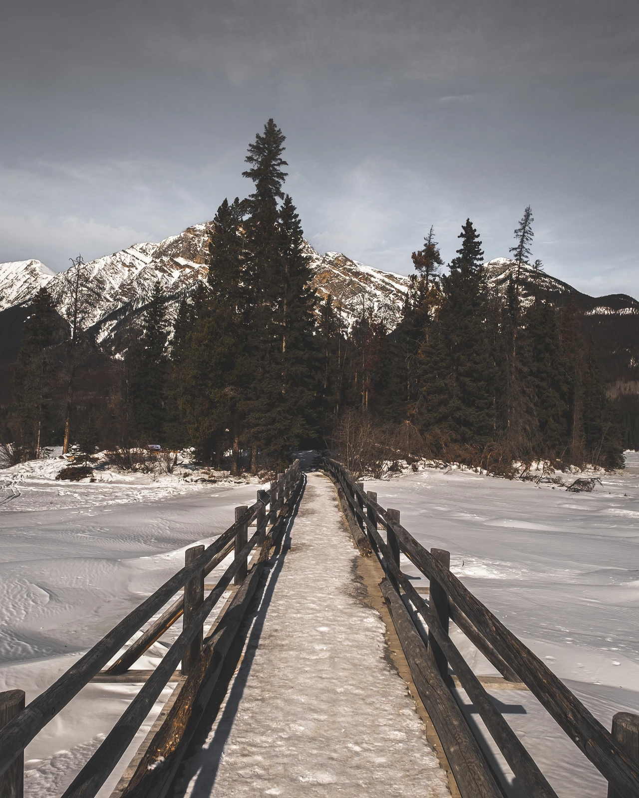 untitled image